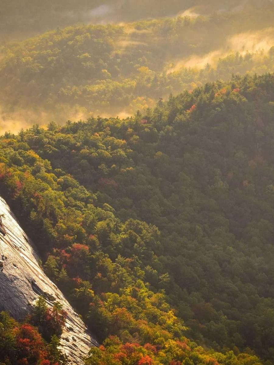 SEE Board First Division with Distinction