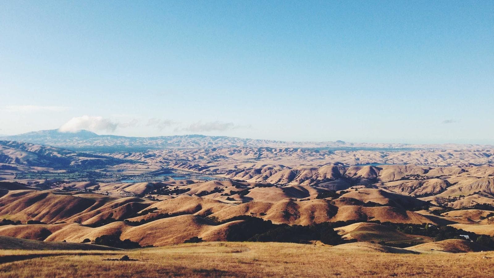 Football & Athletics