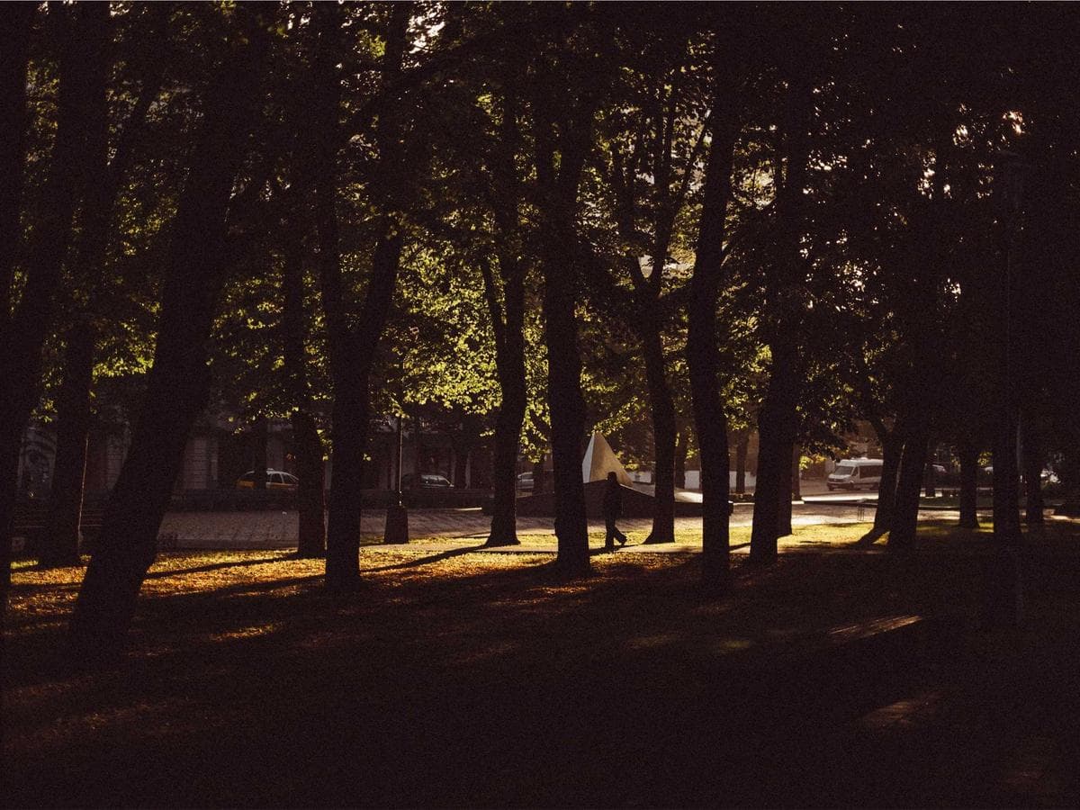 Library reading room
