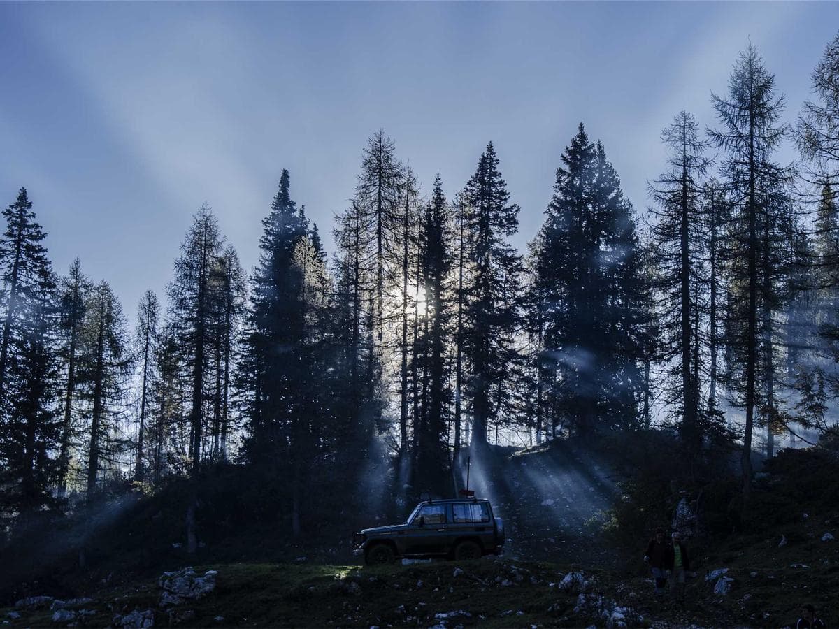 Traditional dance performance